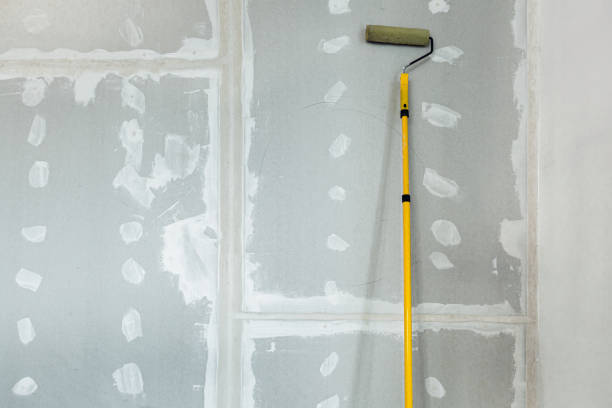 Professional Dry wall and painting in Highland Park, TX