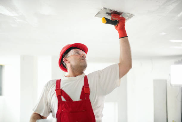 Wallpaper Removal and Painting in Highland Park, TX